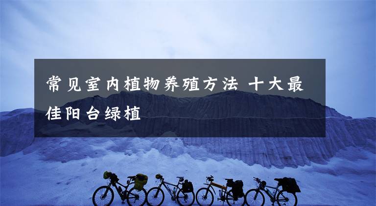 常见室内植物养殖方法 十大最佳阳台绿植
