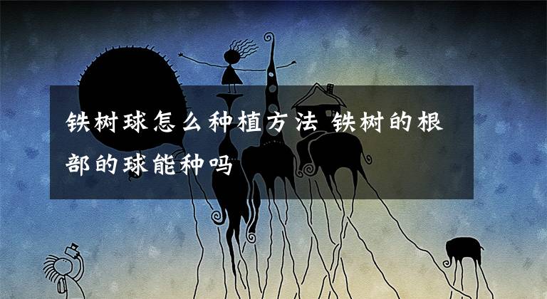 铁树球怎么种植方法 铁树的根部的球能种吗