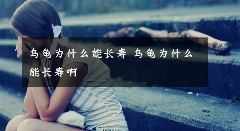 乌龟为什么能长寿 乌龟为什么能长寿啊
