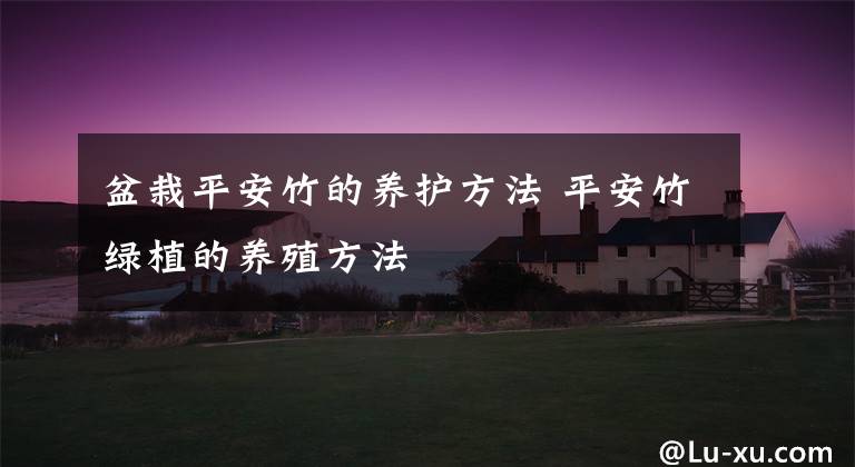 盆栽平安竹的养护方法 平安竹绿植的养殖方法