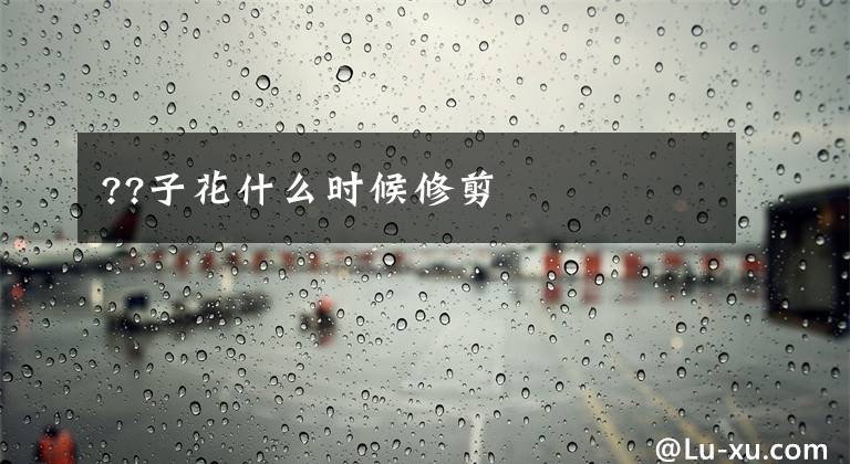 ??子花什么时候修剪