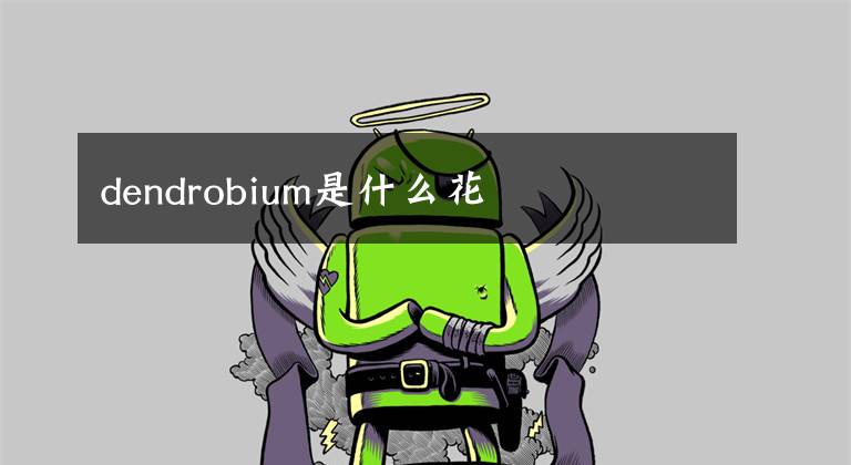 dendrobium是什么花