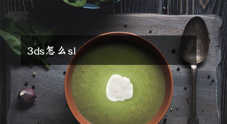 3ds怎么sl