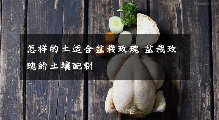 怎样的土适合盆栽玫瑰 盆栽玫瑰的土壤配制