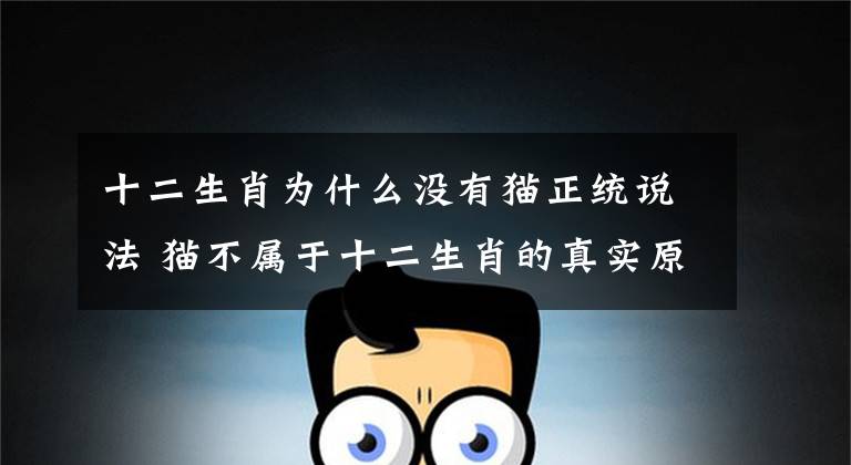 十二生肖为什么没有猫正统说法 猫不属于十二生肖的真实原因