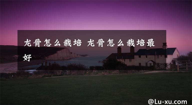 龙骨怎么栽培 龙骨怎么栽培最好
