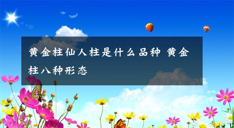 黄金柱仙人柱是什么品种 黄金柱八种形态
