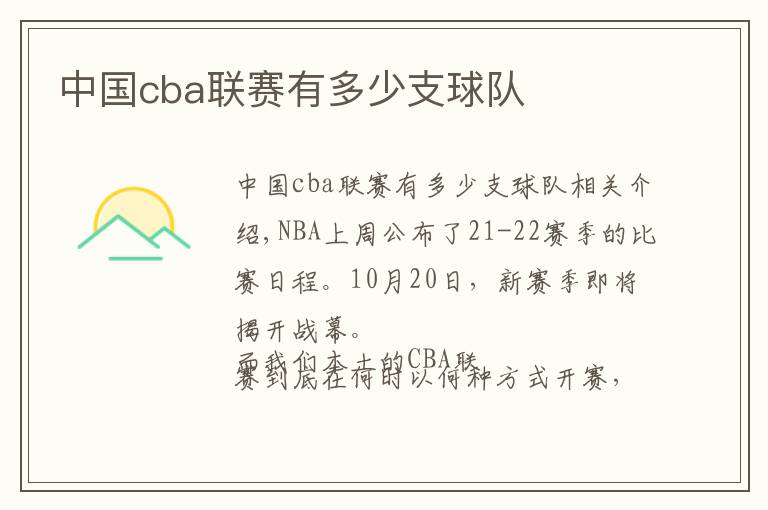 中国cba联赛有多少支球队