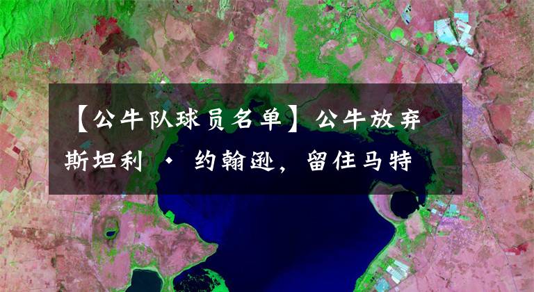 【公牛队球员名单】公牛放弃斯坦利 · 约翰逊,留住马特 · 托马斯