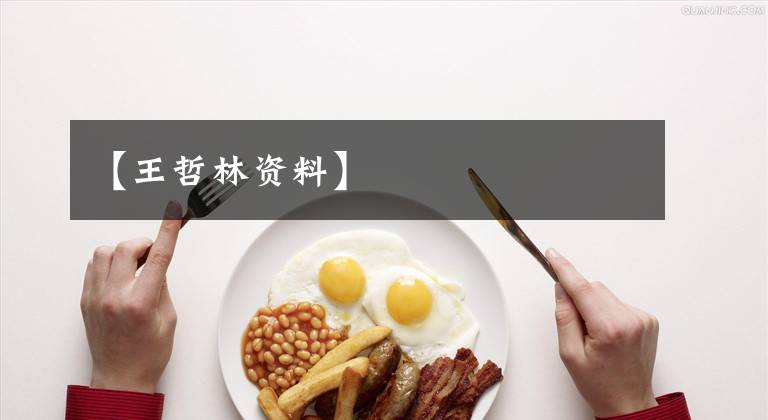 【王哲林资料】