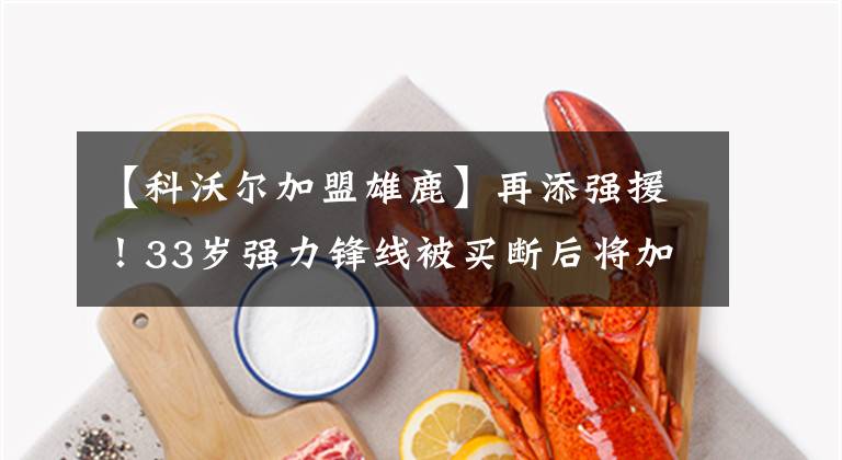 【科沃尔加盟雄鹿】再添强援!33岁强力锋线被买断后将加盟雄鹿 他比科沃尔作用更大