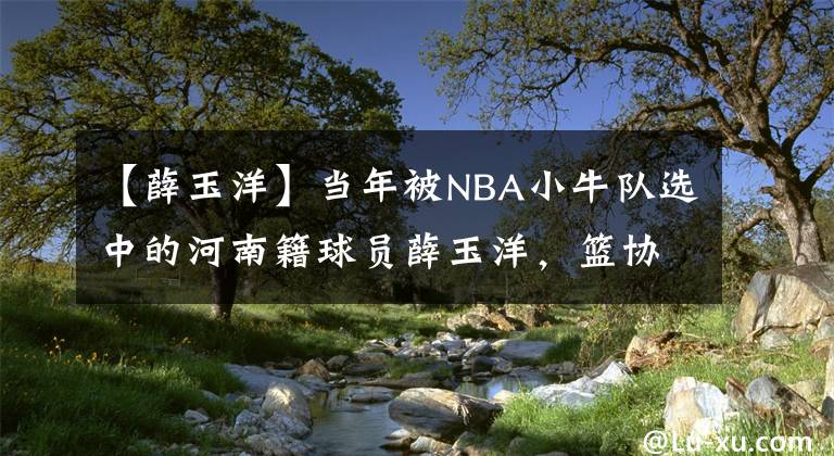 【薛玉洋】当年被NBA小牛队选中的河南籍球员薛玉洋，篮协为什么禁止他出国