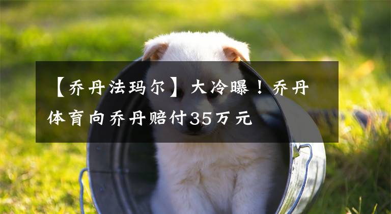 【乔丹法玛尔】大冷曝!乔丹体育向乔丹赔付35万元