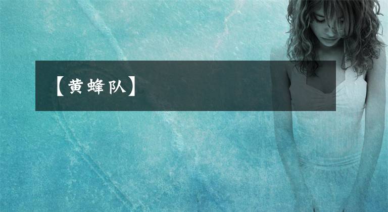【黄蜂队】