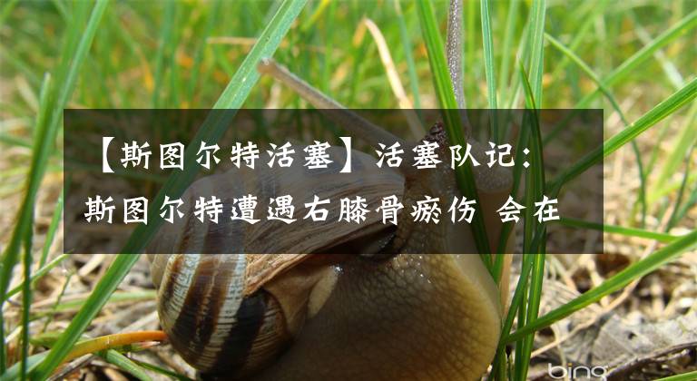 【斯图尔特活塞】活塞队记:斯图尔特遭遇右膝骨瘀伤 会在一周内重新评估