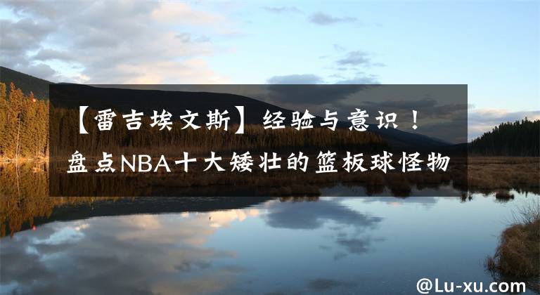 【雷吉埃文斯】经验与意识!盘点NBA十大矮壮的篮板球怪物:球权的完美保障!