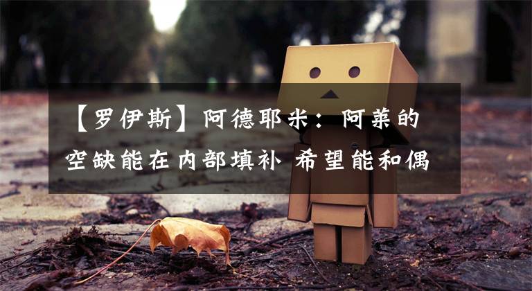 【罗伊斯】阿德耶米:阿莱的空缺能在内部填补 希望能和偶像罗伊斯合作愉快