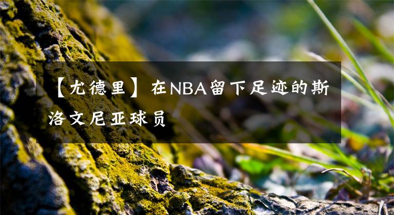 【尤德里】在NBA留下足迹的斯洛文尼亚球员