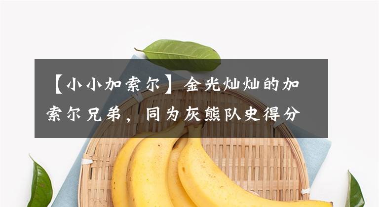 【小小加索尔】金光灿灿的加索尔兄弟,同为灰熊队史得分王,最高荣誉却在其他队