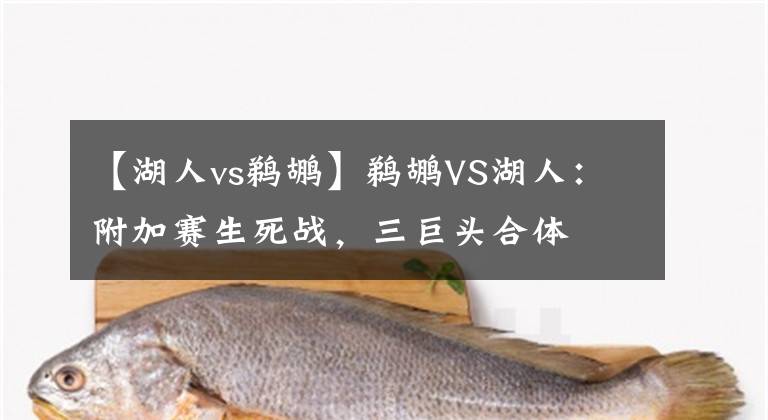 【湖人vs鹈鹕】鹈鹕VS湖人:附加赛生死战,三巨头合体