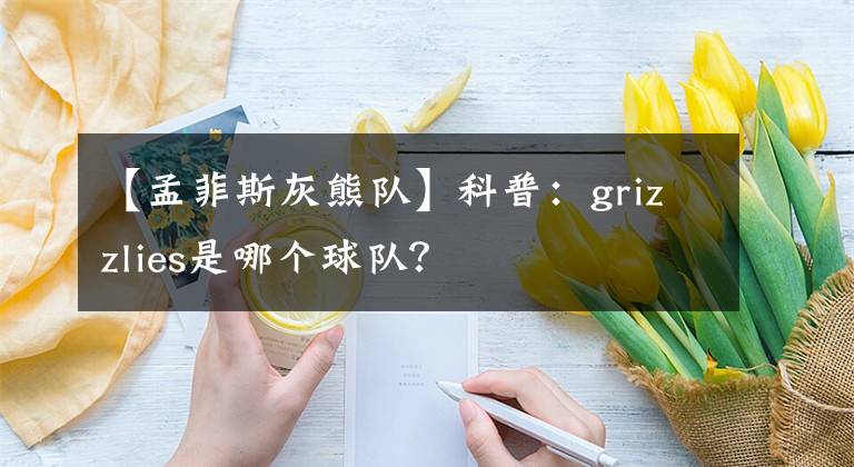 【孟菲斯灰熊队】科普：grizzlies是哪个球队？
