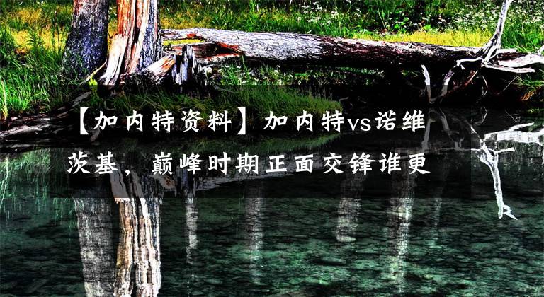 【加内特资料】加内特vs诺维茨基，巅峰时期正面交锋谁更强？全面客观分析告诉你