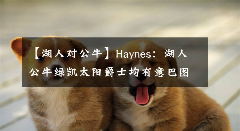 【湖人对公牛】Haynes：湖人公牛绿凯太阳爵士均有意巴图姆 快船处领先位置