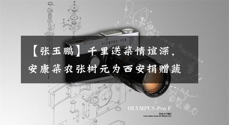 【张玉鹏】千里送菜情谊深，安康菜农张树元为西安捐赠蔬菜