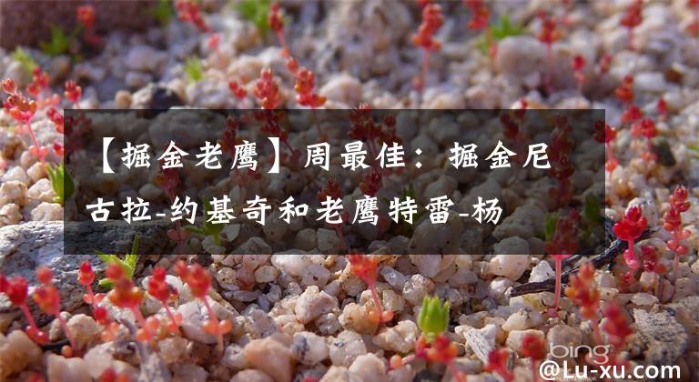 【掘金老鹰】周最佳:掘金尼古拉-约基奇和老鹰特雷-杨