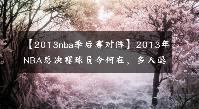 【2013nba季后赛对阵】2013年NBA总决赛球员今何在，多人退役，只有他俩还在巅峰