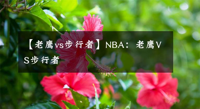 【老鹰vs步行者】NBA:老鹰VS步行者