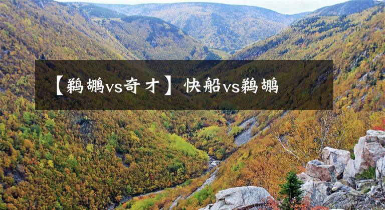 【鹈鹕vs奇才】快船vs鹈鹕