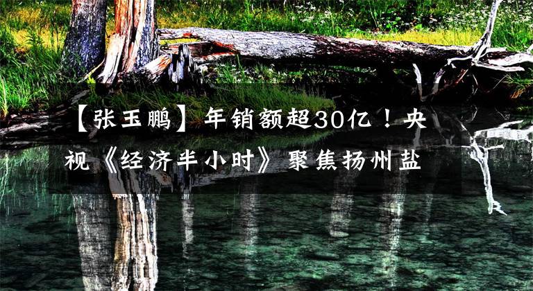 【张玉鹏】年销额超30亿！央视《经济半小时》聚焦扬州盐水鹅