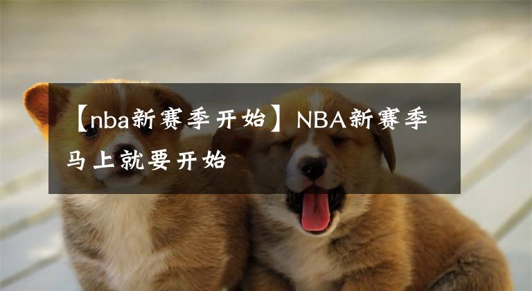 【nba新赛季开始】NBA新赛季马上就要开始