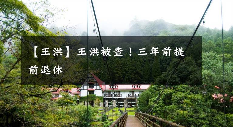 【王洪】王洪被查!三年前提前退休