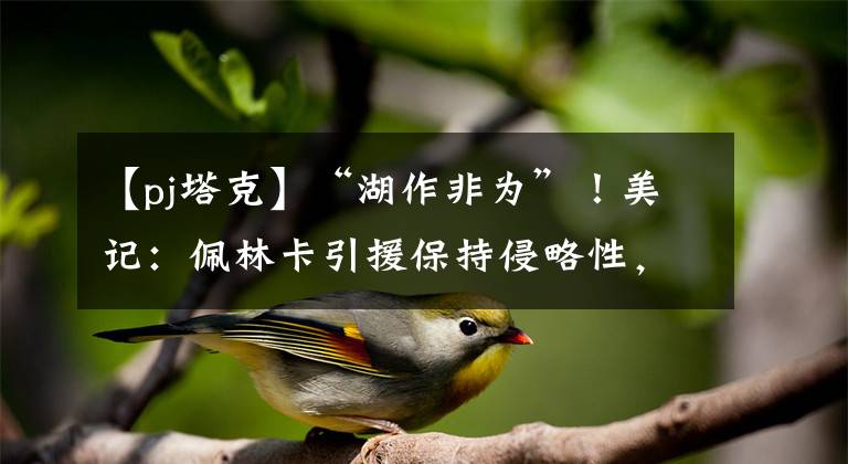 【pj塔克】“湖作非为”！美记：佩林卡引援保持侵略性，湖人将追逐PJ塔克