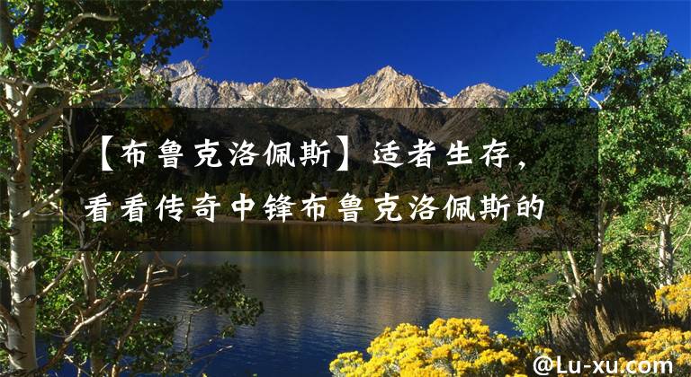 【布鲁克洛佩斯】适者生存，看看传奇中锋布鲁克洛佩斯的生存之道