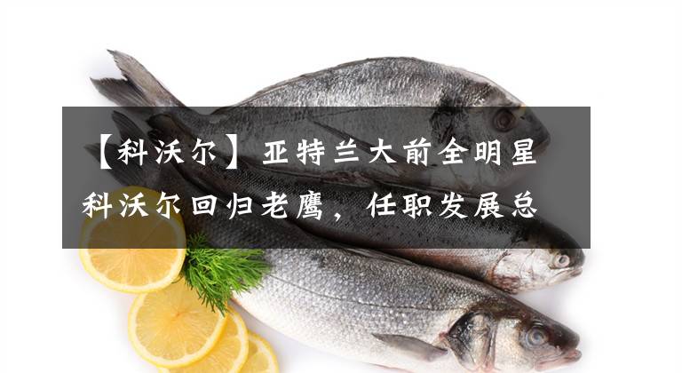 【科沃尔】亚特兰大前全明星科沃尔回归老鹰,任职发展总监