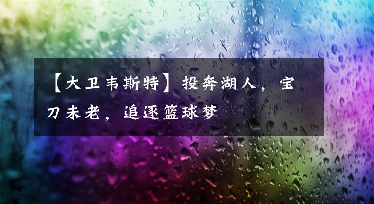 【大卫韦斯特】投奔湖人，宝刀未老，追逐篮球梦