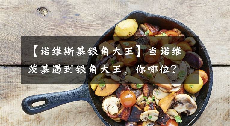 【诺维斯基银角大王】当诺维茨基遇到银角大王,你哪位?我失散年的兄弟?