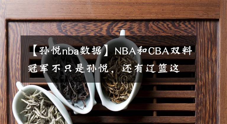 【孙悦nba数据】NBA和CBA双料冠军不只是孙悦,还有辽篮这位内线硬汉