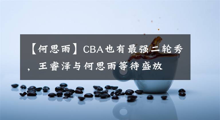 【何思雨】CBA也有最强二轮秀,王睿泽与何思雨等待盛放
