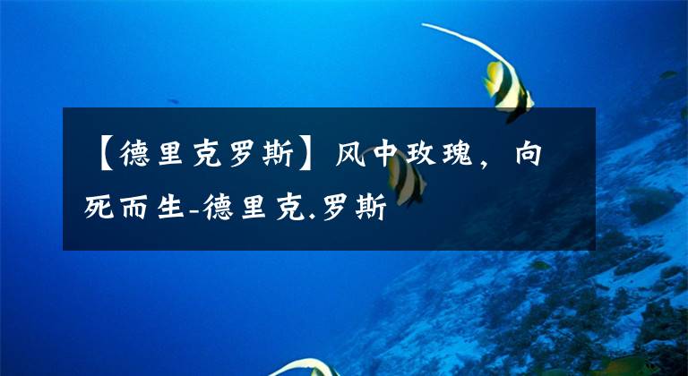 【德里克罗斯】风中玫瑰，向死而生-德里克.罗斯