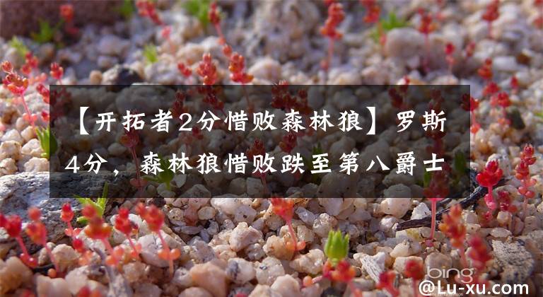 【开拓者2分惜败森林狼】罗斯4分，森林狼惜败跌至第八爵士第四，雷马皆有可能无缘季后赛