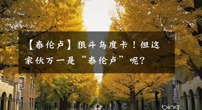 【泰伦卢】狠斗乌度卡!但这家伙万一是“泰伦卢”呢?