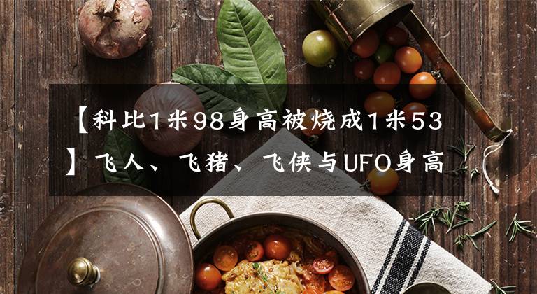 【科比1米98身高被烧成1米53】飞人、飞猪、飞侠与UFO身高大PK 谁是真正的1米98？