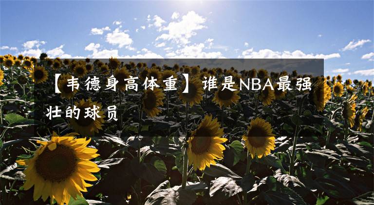【韦德身高体重】谁是NBA最强壮的球员