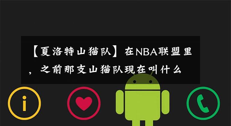 【夏洛特山猫队】在NBA联盟里，之前那支山猫队现在叫什么名字？