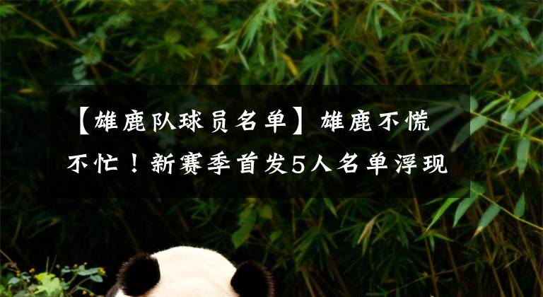 【雄鹿队球员名单】雄鹿不慌不忙!新赛季首发5人名单浮现,球队轻松拥有两套阵容