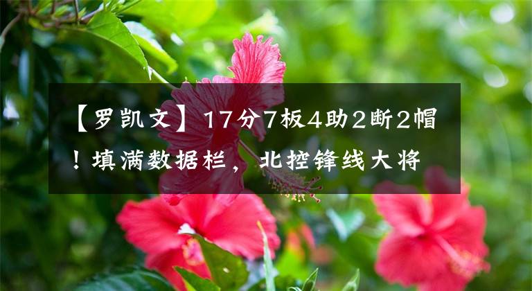 【罗凯文】17分7板4助2断2帽！填满数据栏，北控锋线大将获重用，太让人期待
